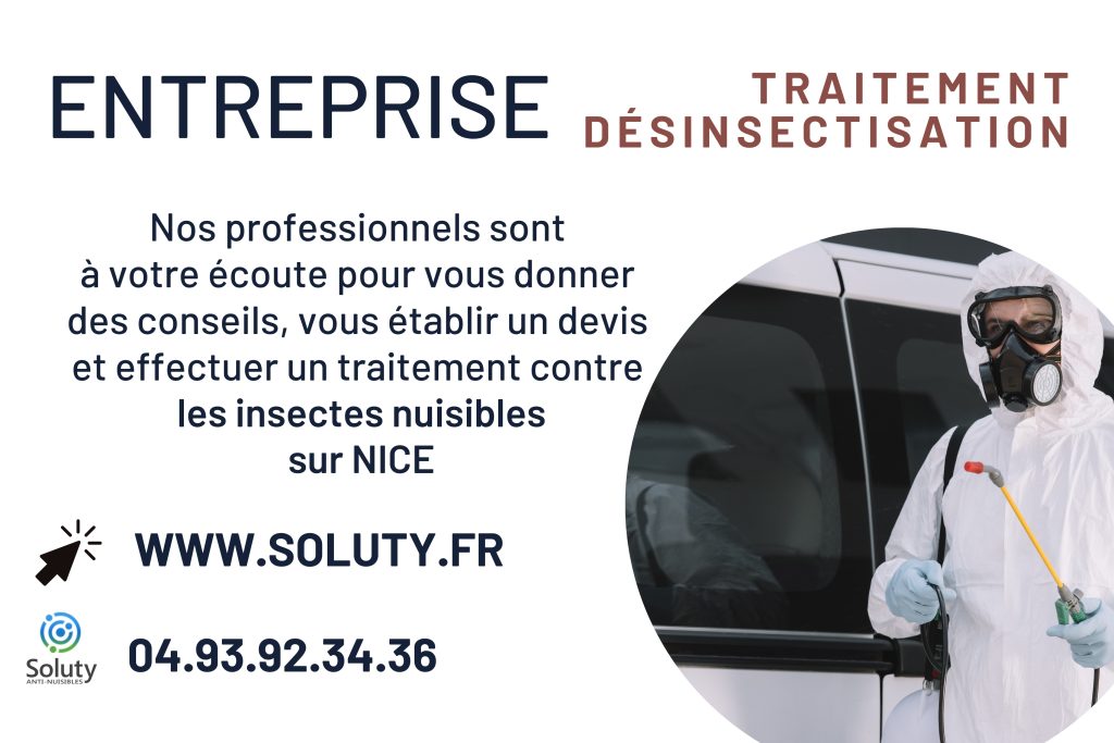 Entreprise de désinsectisation à Nice