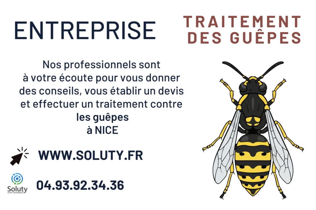 Entreprise de destruction nids de guêpes à Nice