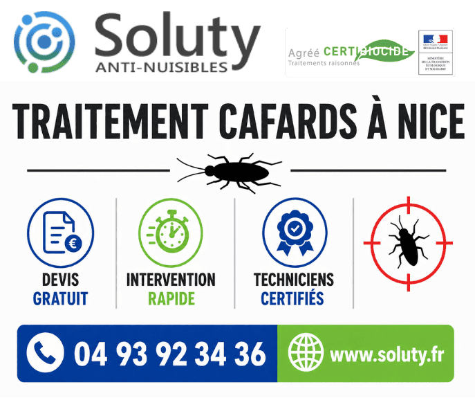 infographie de notre ENTREPRISE DE TRAITEMENT ANTI BLATTES À NICE avec devis gratuit + intervention rapide + techniciens certifiés + numéro de téléphone + adresse mail
