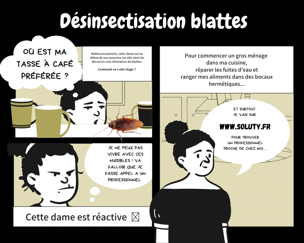 désinsectisation blattes