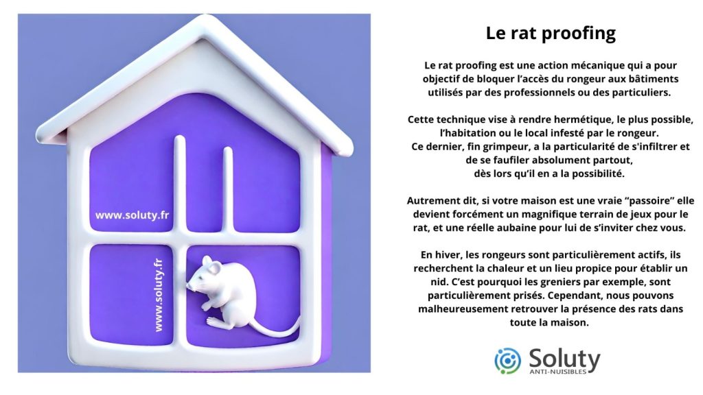Les conseils de prévention pour un environnement sain à Le Cannet avec le rat proofing par exemple