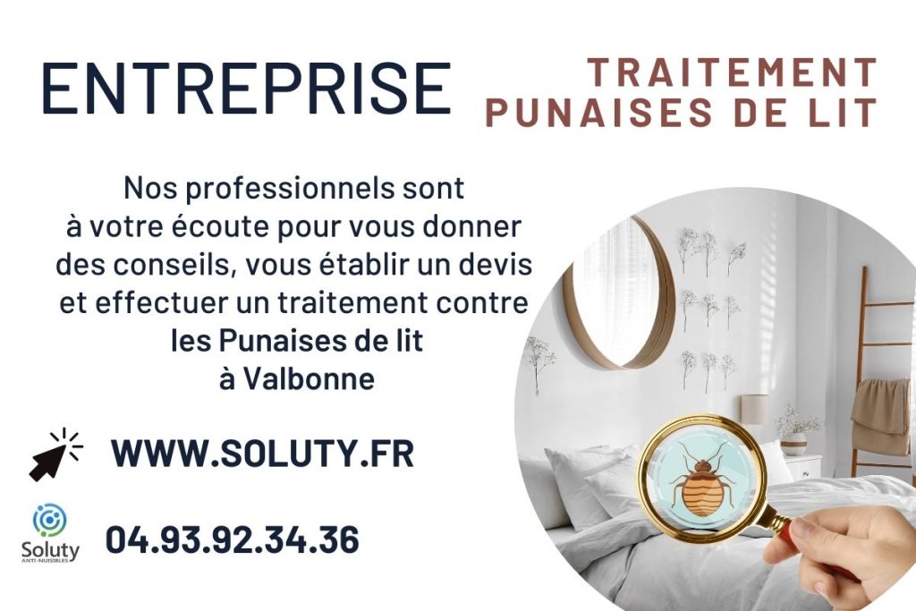 Entreprise de traitement des punaises de lit à Valbonne