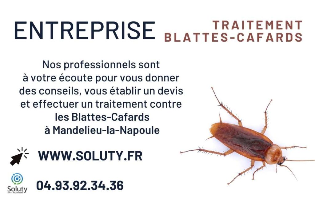Entreprise de traitement anti cafards et blattes à Mandelieu-la-Napoule