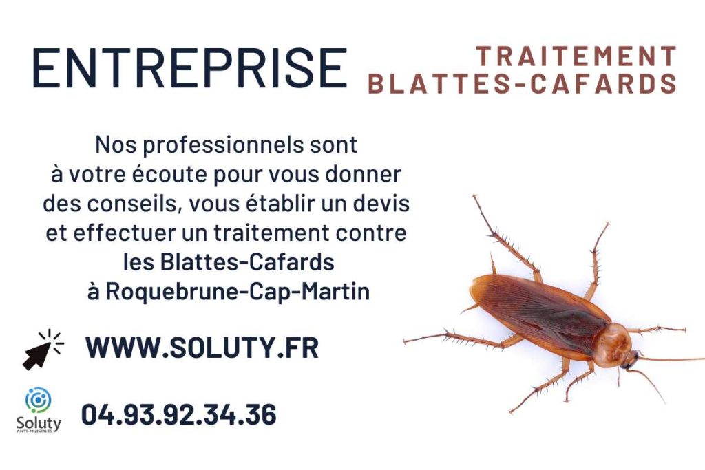 Entreprise de traitement anti cafards et blattes à Roquebrune-Cap-Martin