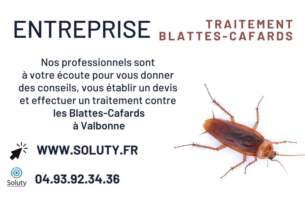 Entreprise de traitement anti cafards et blattes à Valbonne
