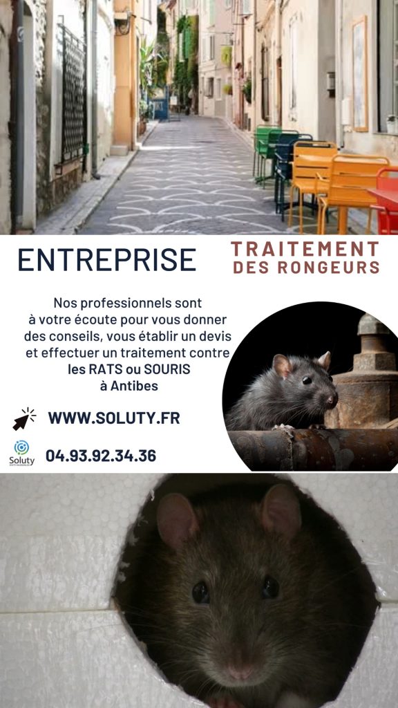 Entreprise de dératisation à Antibes