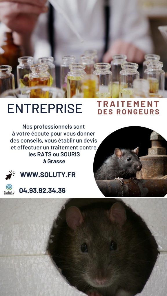 Entreprise de désinsectisation à Grasse