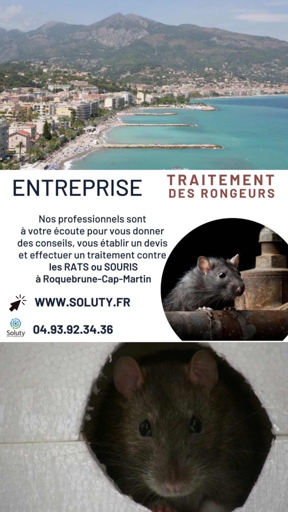 Entreprise de dératisation à Roquebrune-Cap-Martin