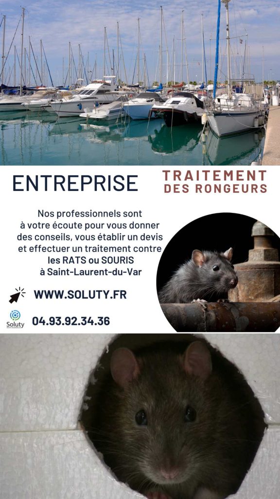 Entreprise de dératisation à Saint-Laurent-du-Var