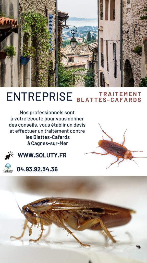 Entreprise de traitement anti cafards et blattes à Cagnes-sur-Mer