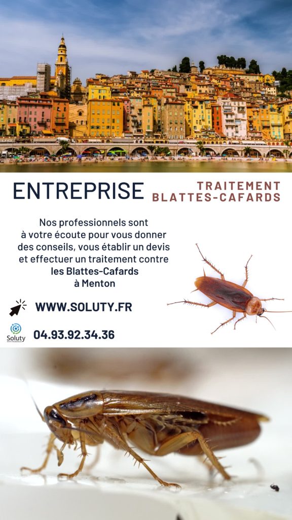 Entreprise de traitement anti cafards et blattes à Menton