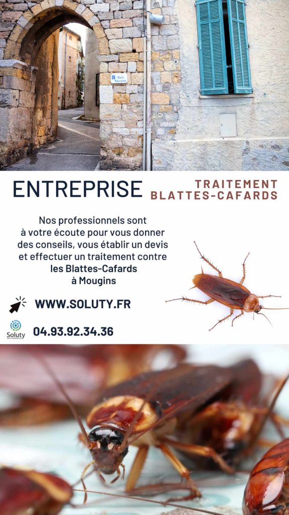 Entreprise de traitement anti cafards et blattes à Mougins