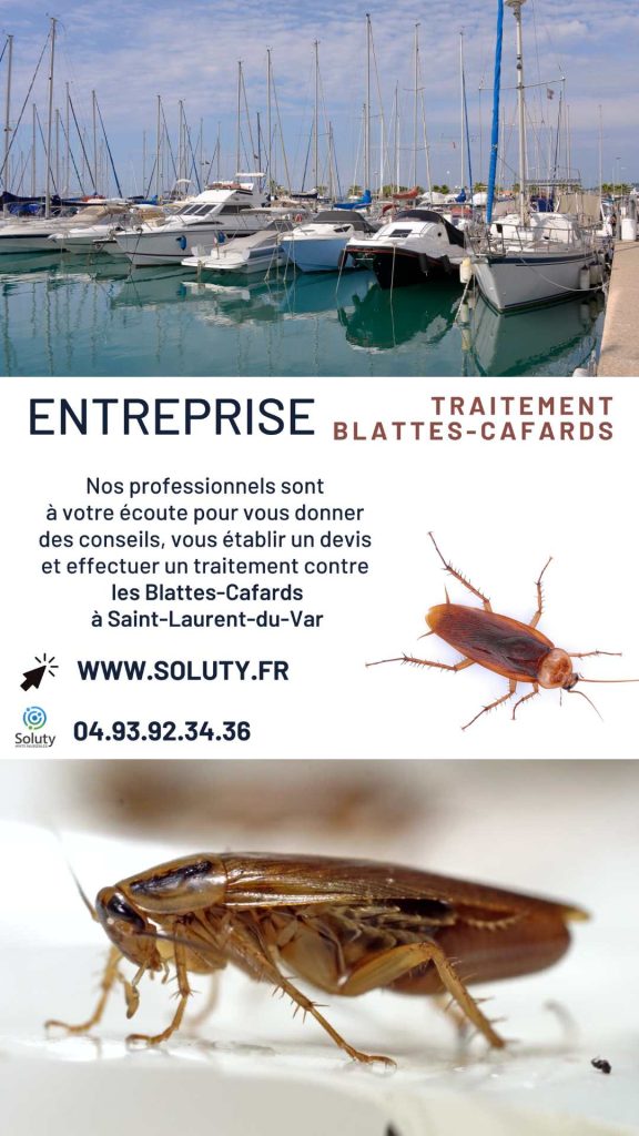 Entreprise de traitement anti cafards et blattes à Saint-Laurent-du-Var