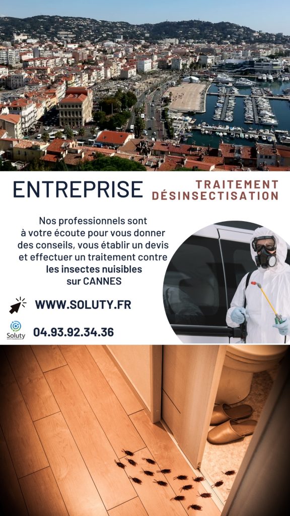 Entreprise de désinsectisation à Cannes