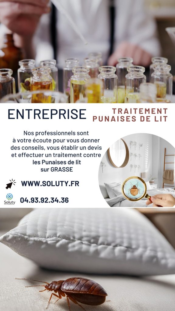 Entreprise de traitement des punaises de lit à Grasse