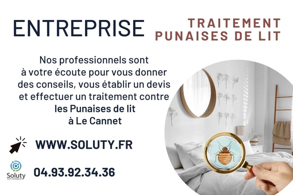 Entreprise de traitement des punaises de lit à Le Cannet