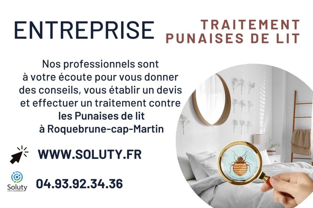 Entreprise de traitement des punaises de lit à Roquebrune-cap-Martin