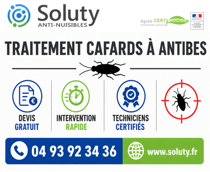 infographie de notre ENTREPRISE DE TRAITEMENT ANTI BLATTES À Antibes avec devis gratuit + intervention rapide + techniciens certifiés + numéro de téléphone + adresse mail