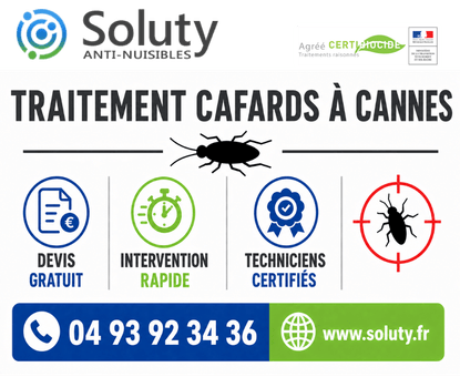 infographie de notre ENTREPRISE DE TRAITEMENT ANTI BLATTES À Cannes avec devis gratuit + intervention rapide + techniciens certifiés + numéro de téléphone + adresse mail