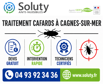 infographie de notre ENTREPRISE DE TRAITEMENT ANTI BLATTES À Cagnes sur Mer avec devis gratuit + intervention rapide + techniciens certifiés + numéro de téléphone + adresse mail
