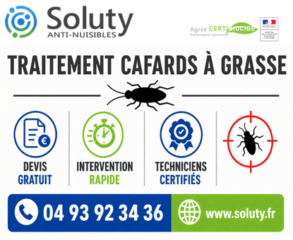 infographie de notre ENTREPRISE DE TRAITEMENT ANTI BLATTES À Grasse avec devis gratuit + intervention rapide + techniciens certifiés + numéro de téléphone + adresse mail

