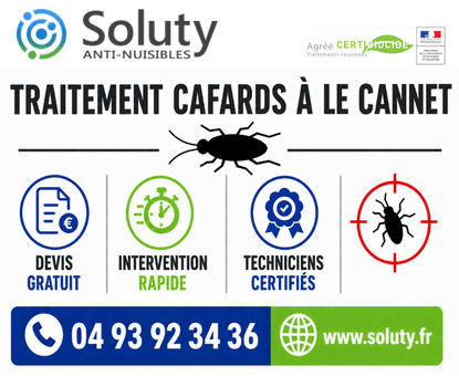 infographie de notre ENTREPRISE DE TRAITEMENT ANTI BLATTES À Le Cannet avec devis gratuit + intervention rapide + techniciens certifiés + numéro de téléphone + adresse mail
