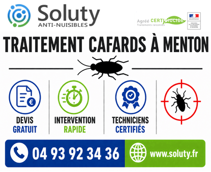 infographie de notre ENTREPRISE DE TRAITEMENT ANTI BLATTES À Menton avec devis gratuit + intervention rapide + techniciens certifiés + numéro de téléphone + adresse mail
