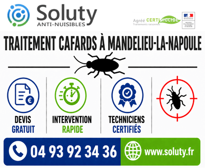 infographie de notre ENTREPRISE DE TRAITEMENT ANTI BLATTES À Mandelieu-la-Napoule avec devis gratuit + intervention rapide + techniciens certifiés + numéro de téléphone + adresse mail
