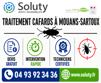 infographie de notre ENTREPRISE DE TRAITEMENT ANTI BLATTES À Mouans-Sartoux avec devis gratuit + intervention rapide + techniciens certifiés + numéro de téléphone + adresse mail
