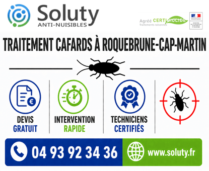 infographie de notre ENTREPRISE DE TRAITEMENT ANTI BLATTES À Roquebrune-Cap-Martin avec devis gratuit + intervention rapide + techniciens certifiés + numéro de téléphone + adresse mail

