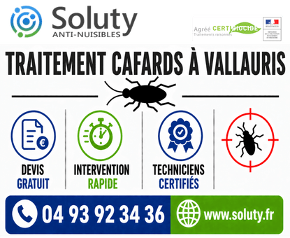 infographie de notre ENTREPRISE DE TRAITEMENT ANTI BLATTES À Vallauris avec devis gratuit + intervention rapide + techniciens certifiés + numéro de téléphone + adresse mail
