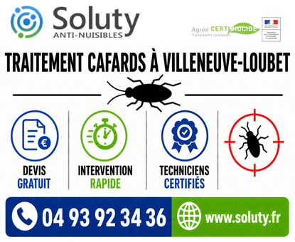 infographie de notre ENTREPRISE DE TRAITEMENT ANTI BLATTES À Villeneuve-Loubet avec devis gratuit + intervention rapide + techniciens certifiés + numéro de téléphone + adresse mail
