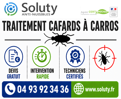 infographie de notre ENTREPRISE DE TRAITEMENT ANTI BLATTES À Carros avec devis gratuit + intervention rapide + techniciens certifiés + numéro de téléphone + adresse mail
