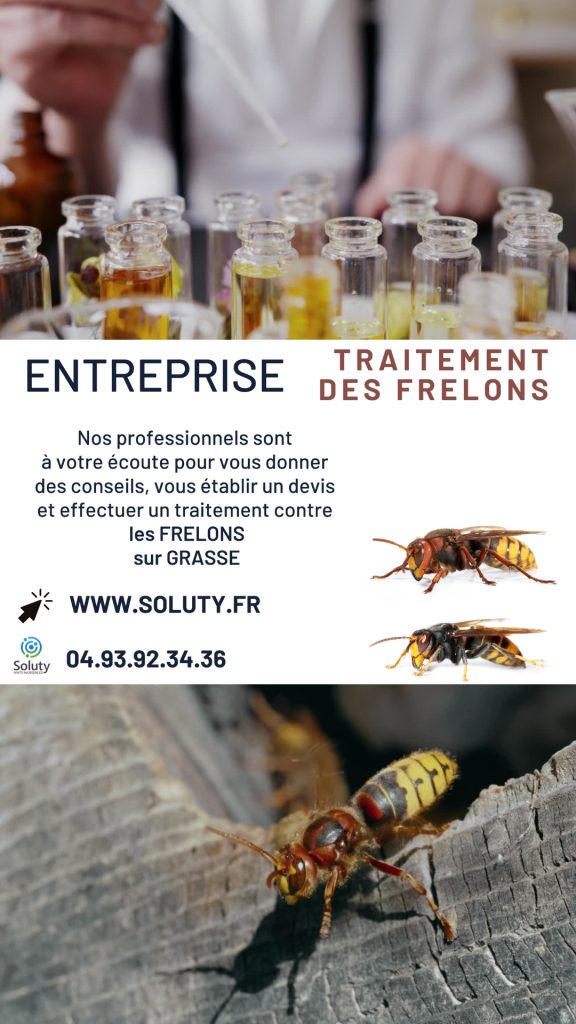 Destruction des nids de guêpes et frelons à Grasse
