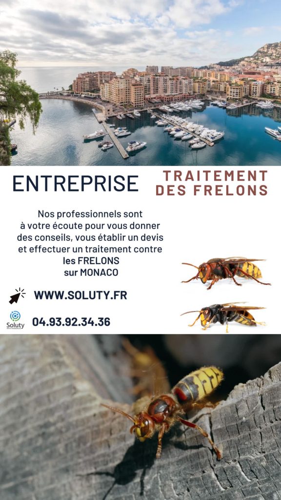 Destruction des nids de guêpes et frelons à Monaco