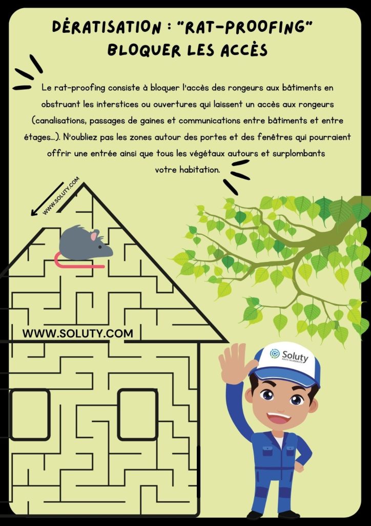 les conseils de prévention contre les rats et les souris à Mandelieu-la-Napoule