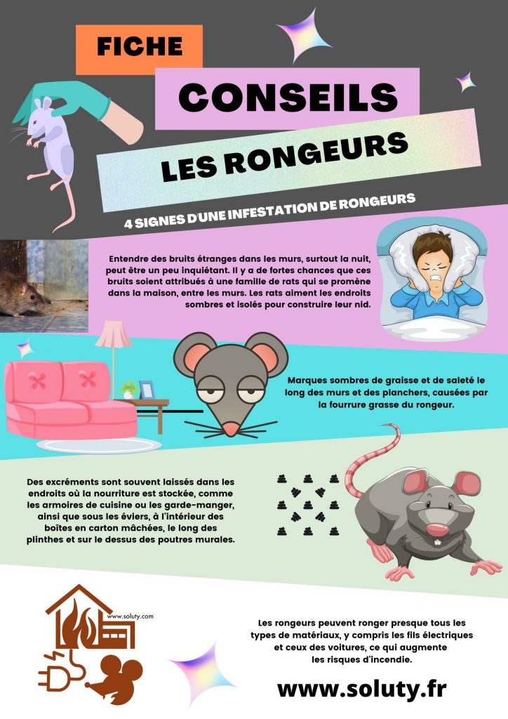 Comment reconnaître les signes d'une infestation de souris ?