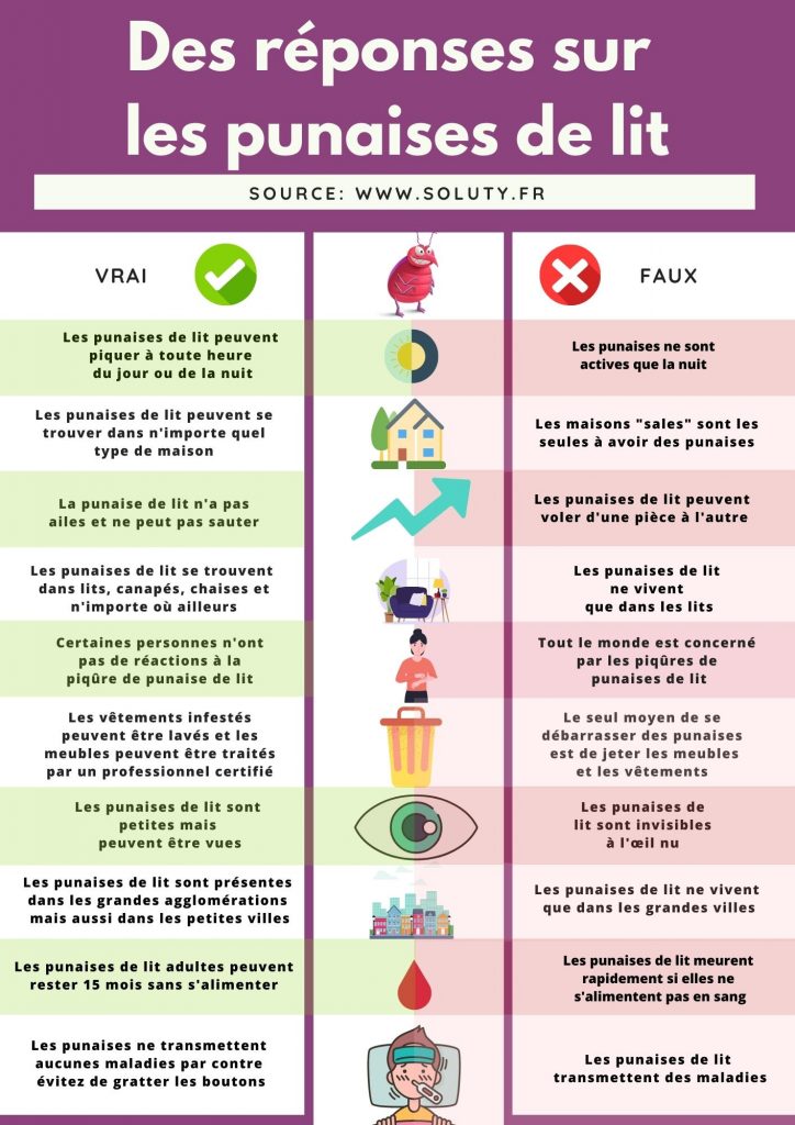 tableau “vrai ou faux” sur les punaises de lit