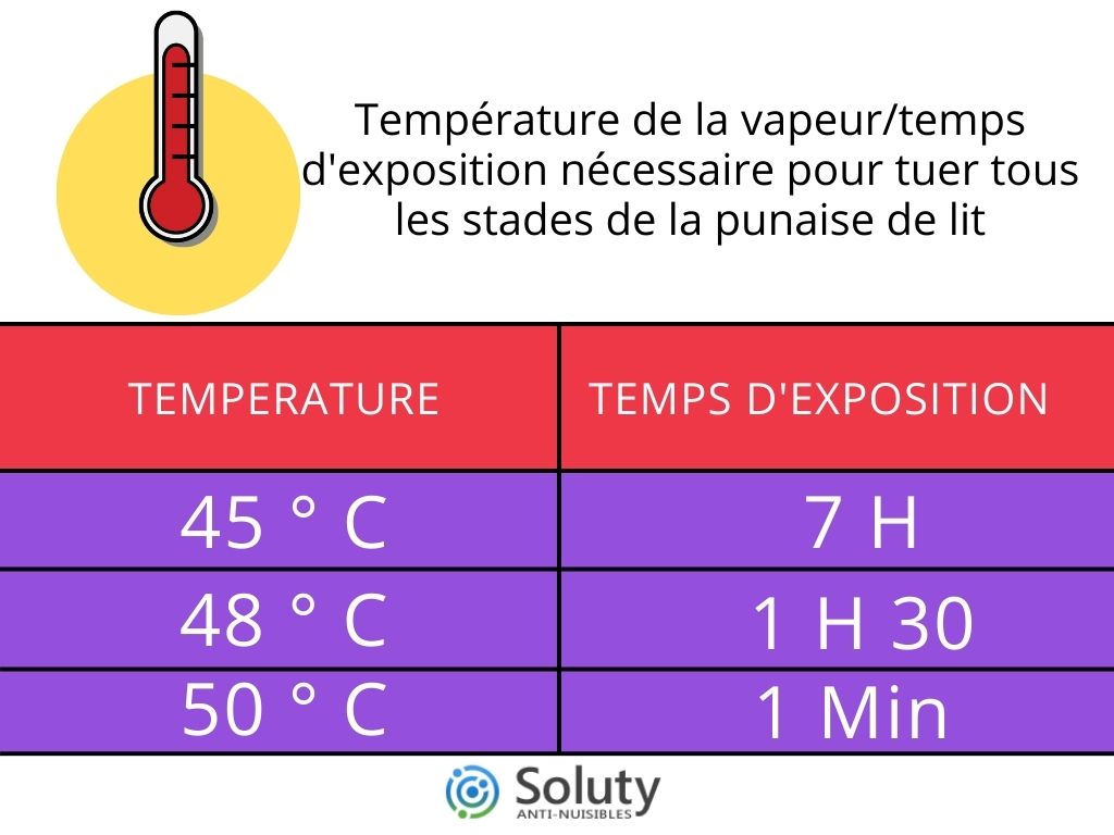 Température pour tuer les punaises de lit