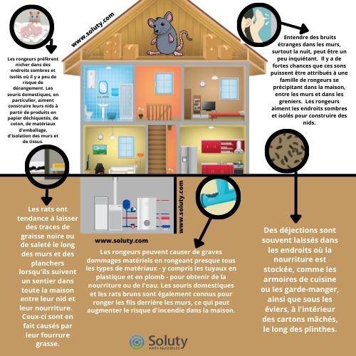 Quels sont les indices de la présence de rongeurs dans une habitation ?