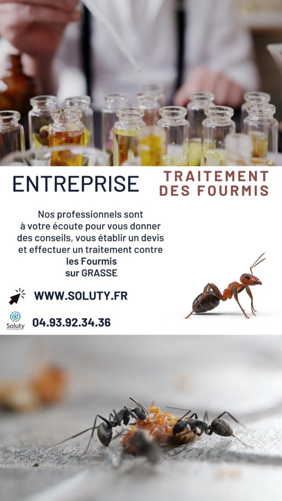 Entreprise de traitement des fourmis à Grasse