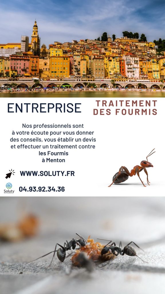 Entreprise de traitement des fourmis à Menton
