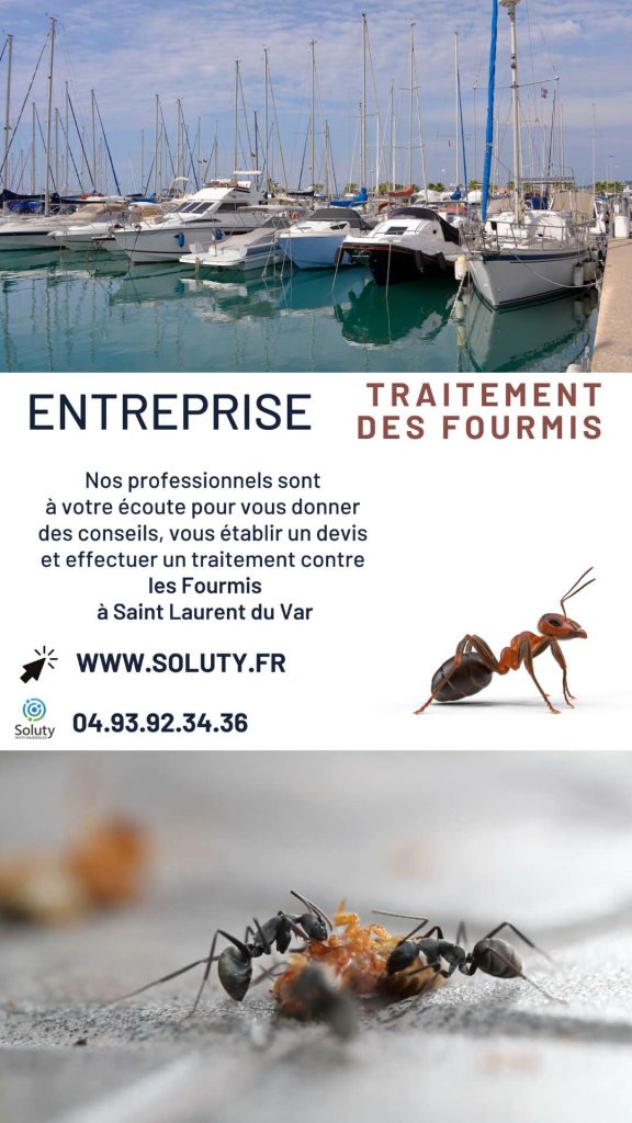 Entreprise de traitement des fourmis à Saint-Laurent-du-Var