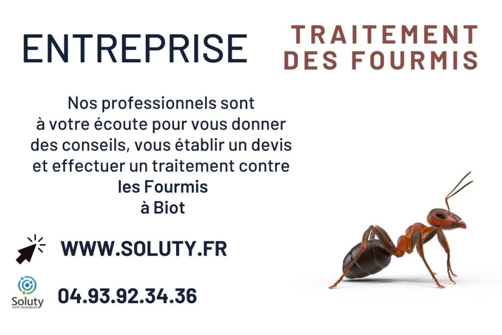 Entreprise de désinsectisation des FOURMIS à Biot