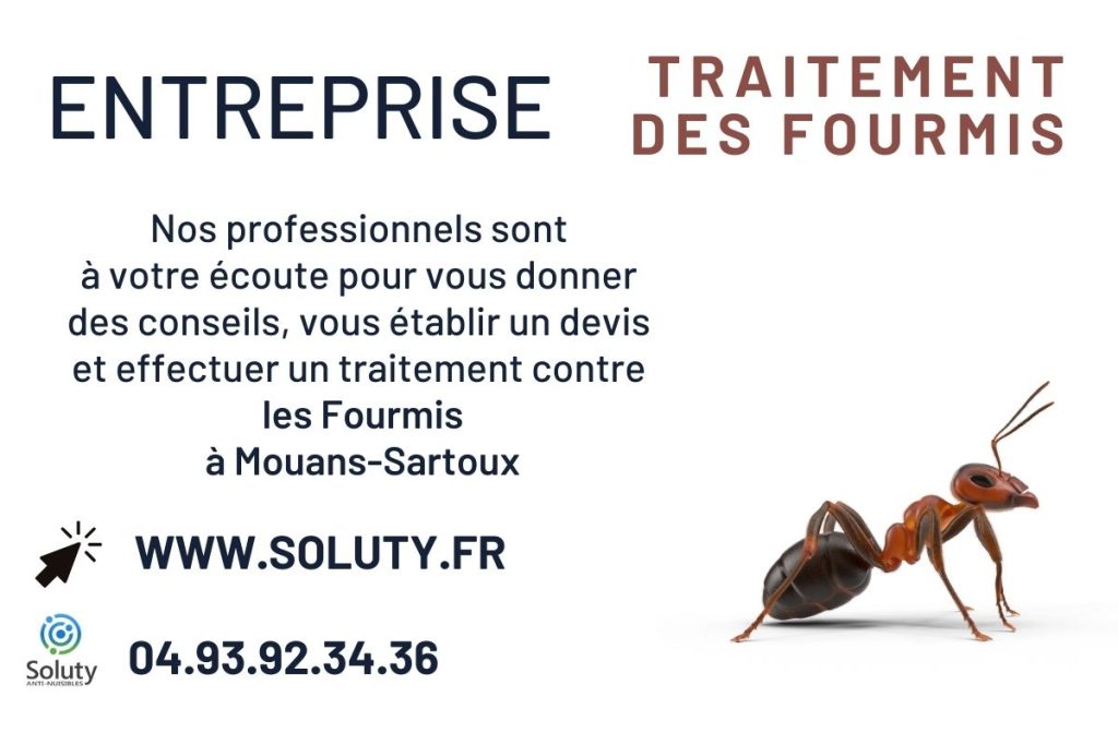 Entreprise de désinsectisation des FOURMIS à Mouans-Sartoux