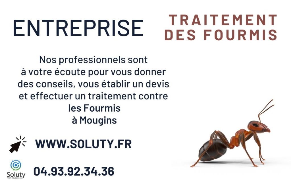Entreprise de désinsectisation des FOURMIS à Mougins