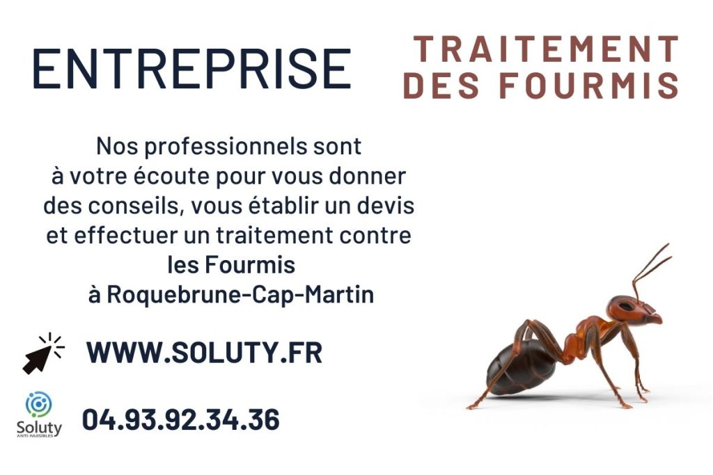 Entreprise de désinsectisation des FOURMIS à Roquebrune-Cap-Martin