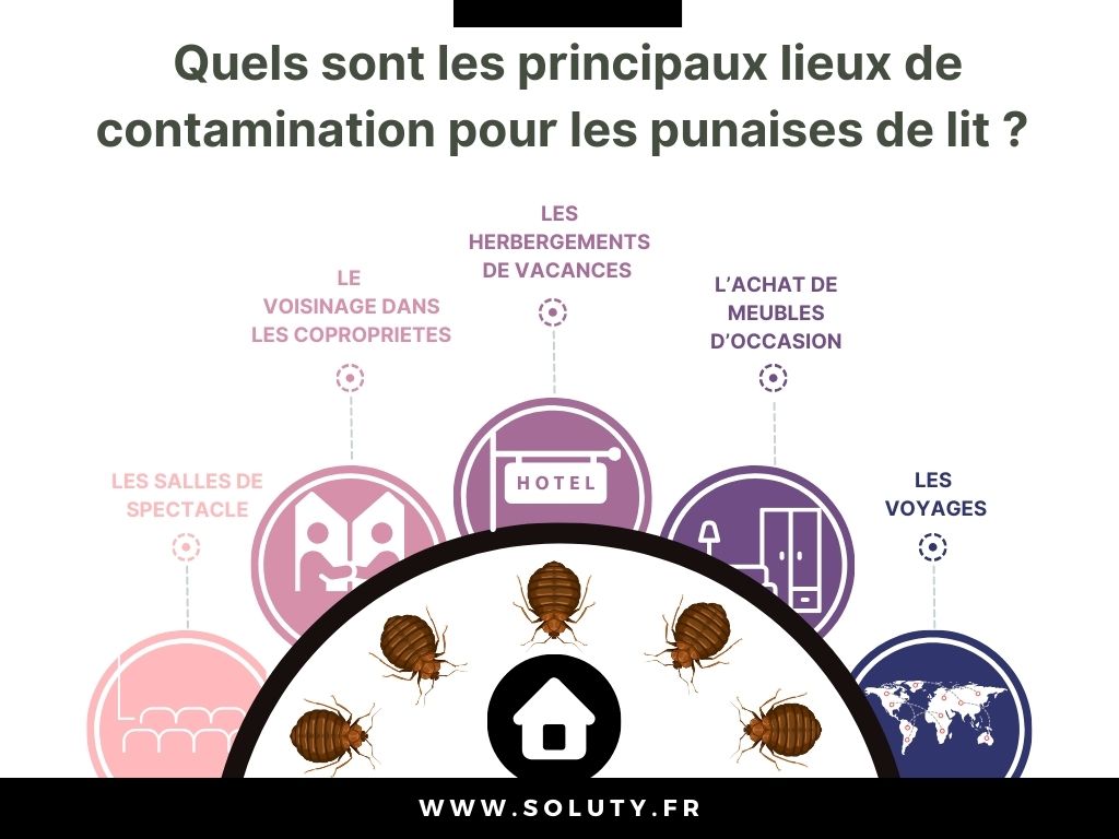 les principaux lieux de contamination de punaises de lit