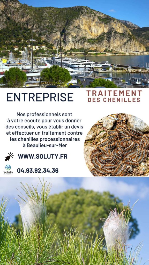 Entreprise de traitement des chenilles processionnaires à Beaulieu-sur-Mer
