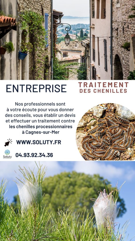 Entreprise de désinsectisation : Société anti chenilles processionnaires à Cagnes-sur-Mer